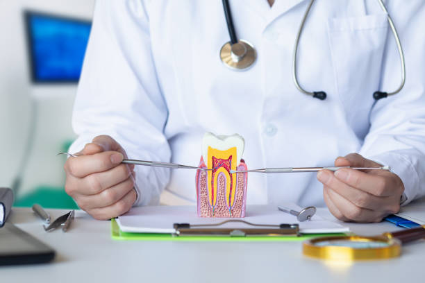 Best Urgent Dental Care for Toothaches in Murphys Estates, SC